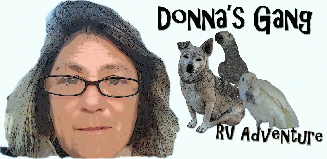 Donna's Gang RV Adventures